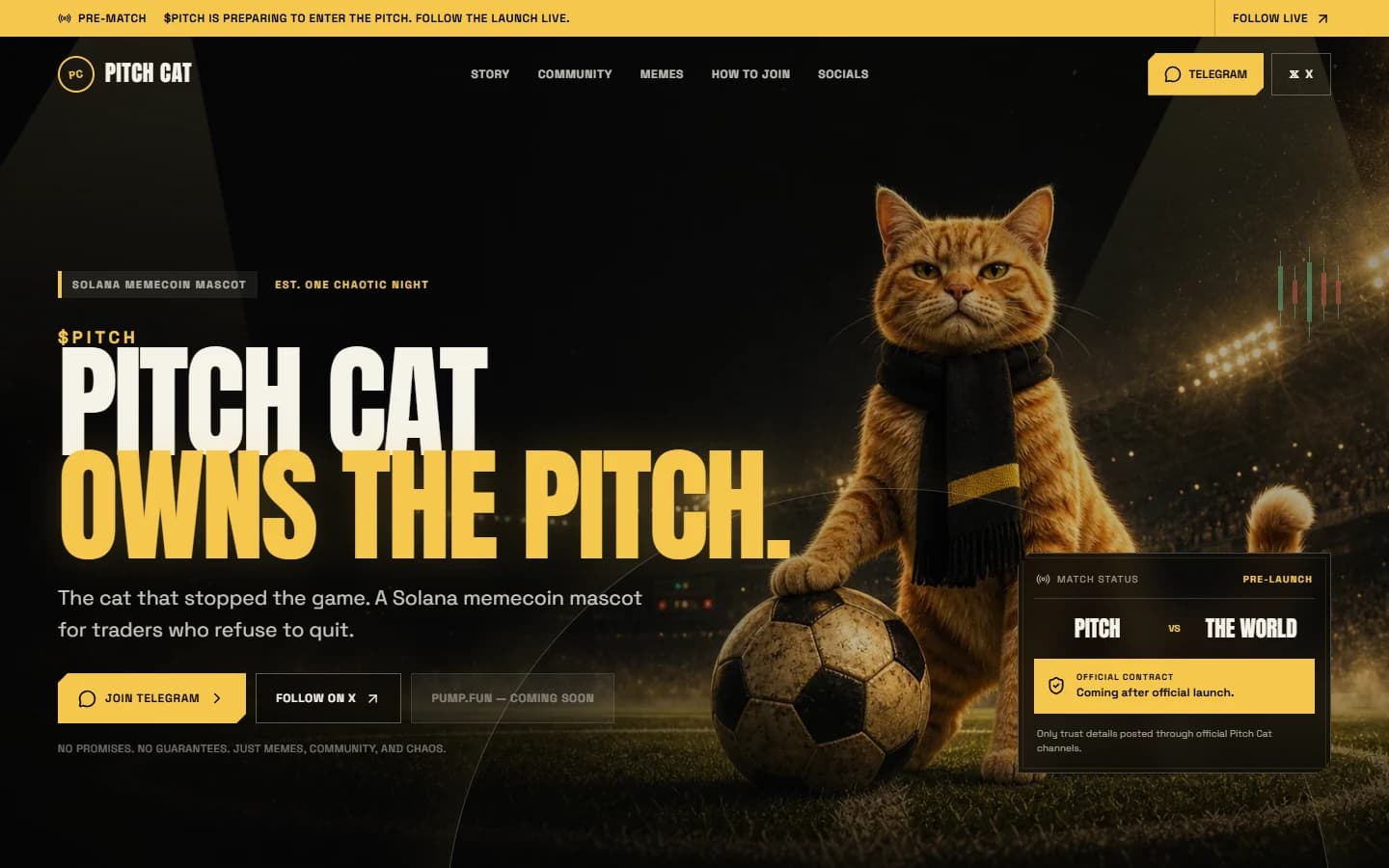 Pitch Cat live website hero with a football cat under stadium lights